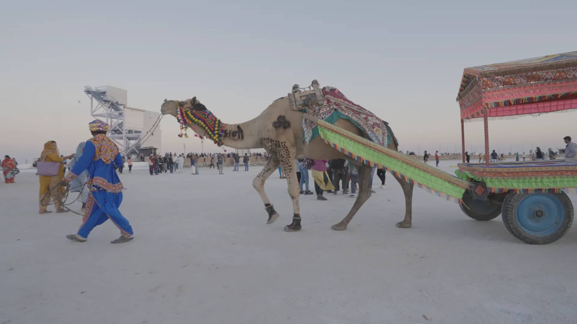 Decorated camel cart on the White Rann of Kutch