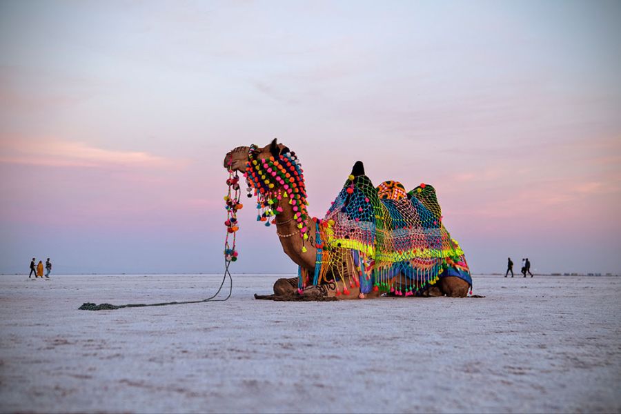 Rann Utsav