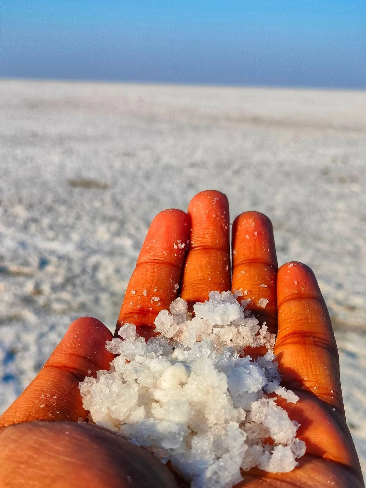 White Rann