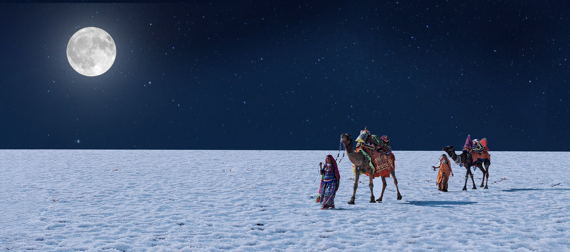 Rann Utsav
